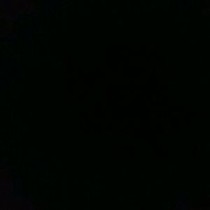 Meet your Posher, Wyatt